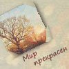 Аватара пользователя