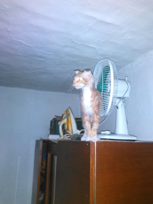 IMG_20160112_090409.jpg