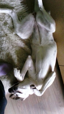 IMG-20160116-WA0001.jpeg