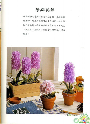 09.JPG