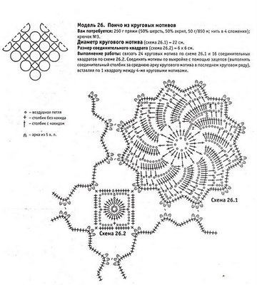 2487421_poncho1.jpg