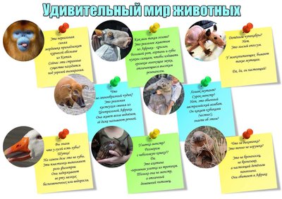 А2  мирж1.jpg