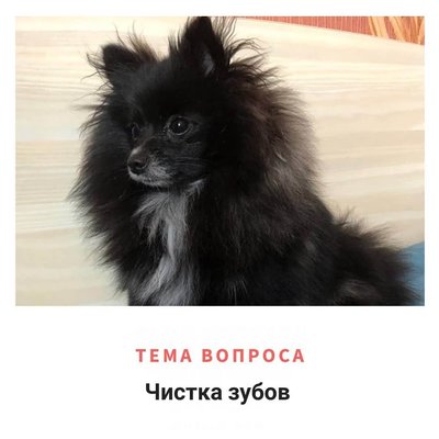 122970948_668353890707330_7171793436892316156_n.jpg