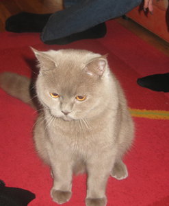 марис.jpg