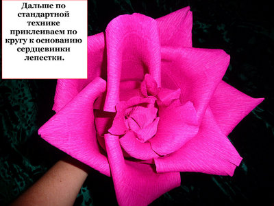 getImage (16).jpg