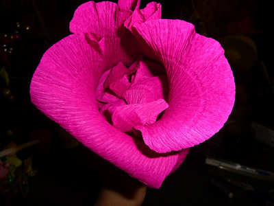 getImage (12).jpg
