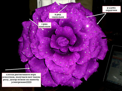 getImage (20).jpg